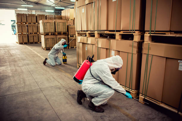 Best Exterminator Services  in Lakewood, IL