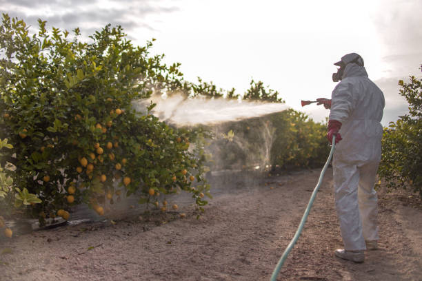 Best Bed Bug Extermination  in Lakewood, IL