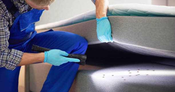 Professional Pest Control in Lakewood, IL