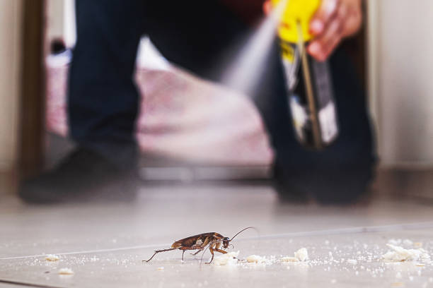 Best Pest Control Treatment  in Lakewood, IL
