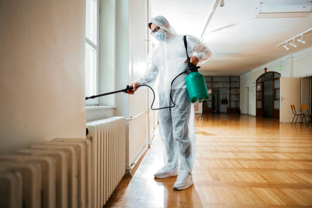 Best Cockroach Control Services  in Lakewood, IL