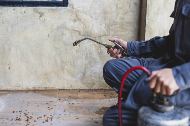 Best Pest Control Near Me  in Lakewood, IL